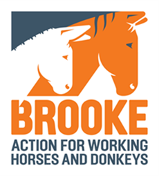 The Brooke